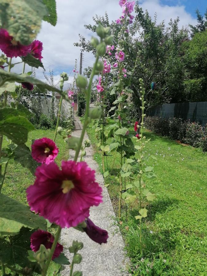 Le104Bis Bed & Breakfast Poitiers Exterior foto